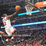 Bulls