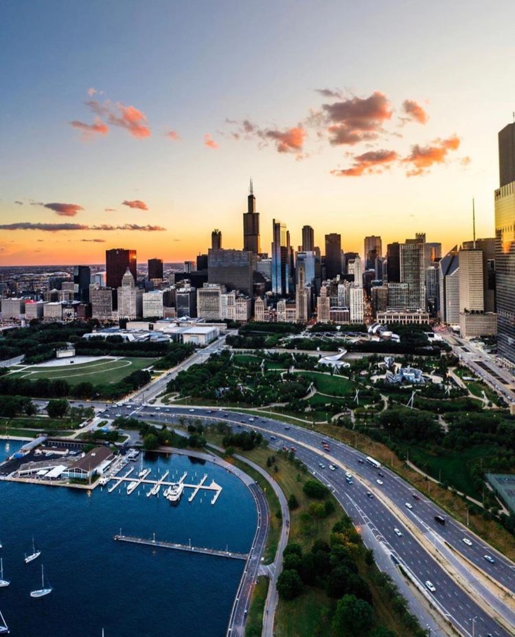 chicago defender social media tracking