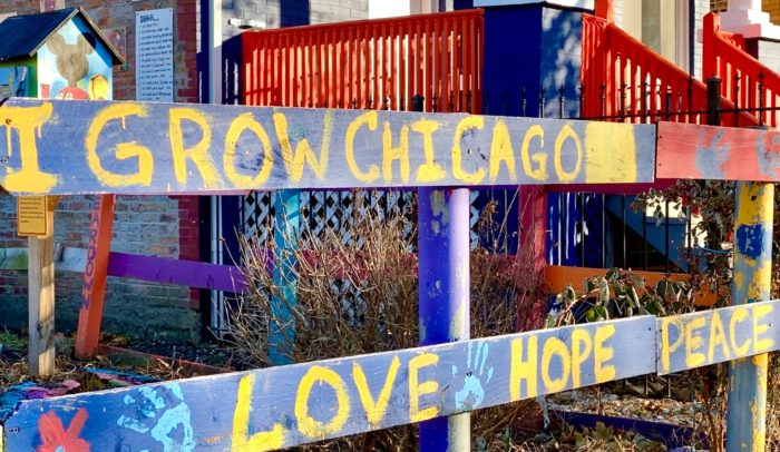 I grow chicago englewood chicago defender