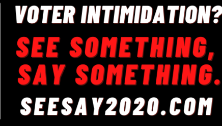 SeeSay2020 Chicago Defender Voter Suppression