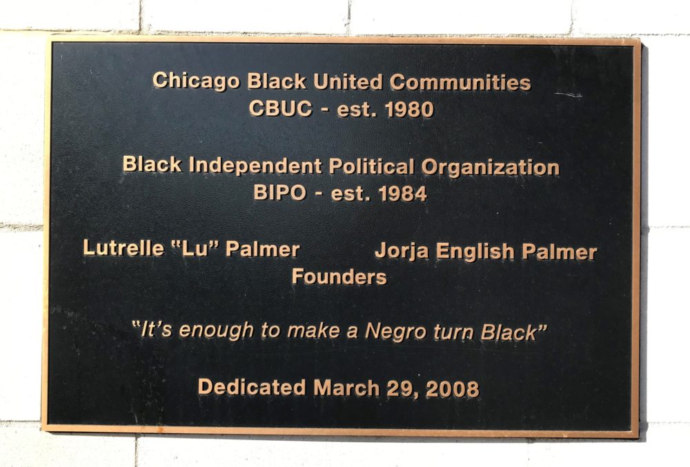 Lu Palmer Mansion Chicago Defender