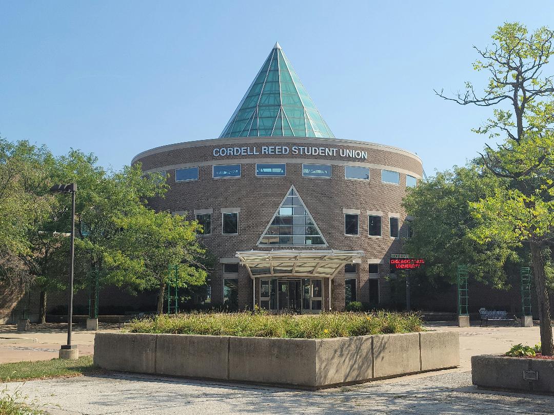 men of excellence Chicago Defender