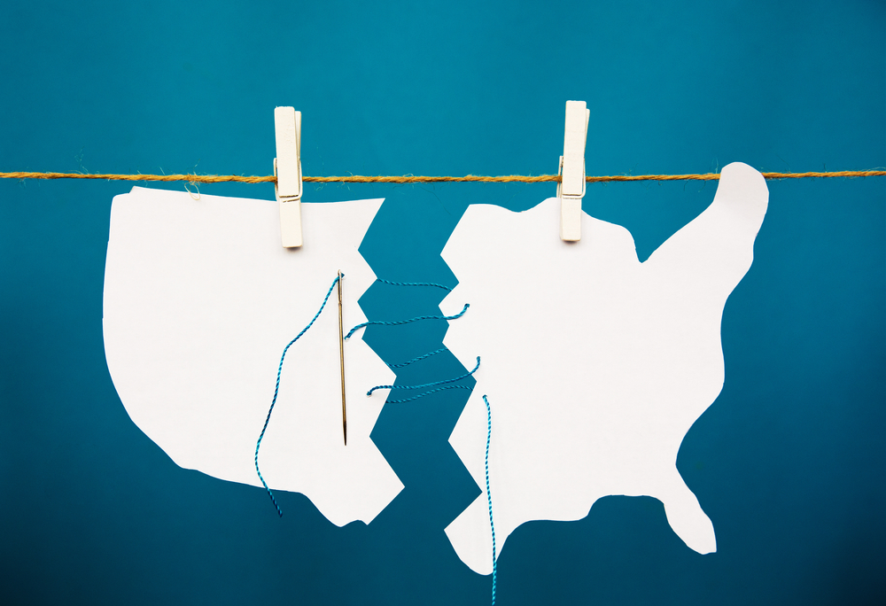 Insurrection Chicago Defender