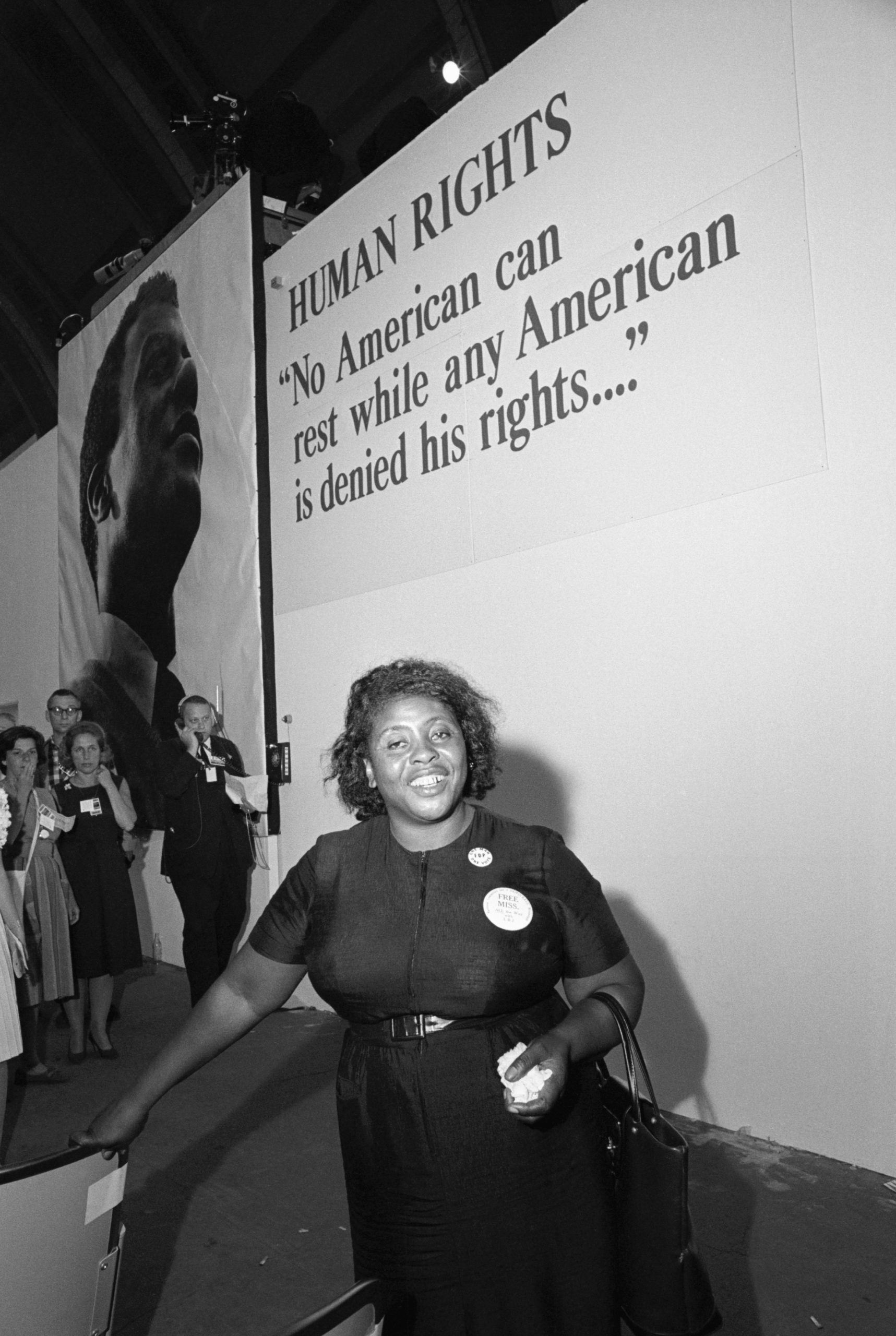 Fannie Lou Hamer's America Chicago Defender