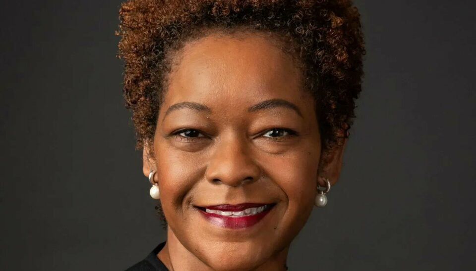 Lisa Holder White Chicago Defender