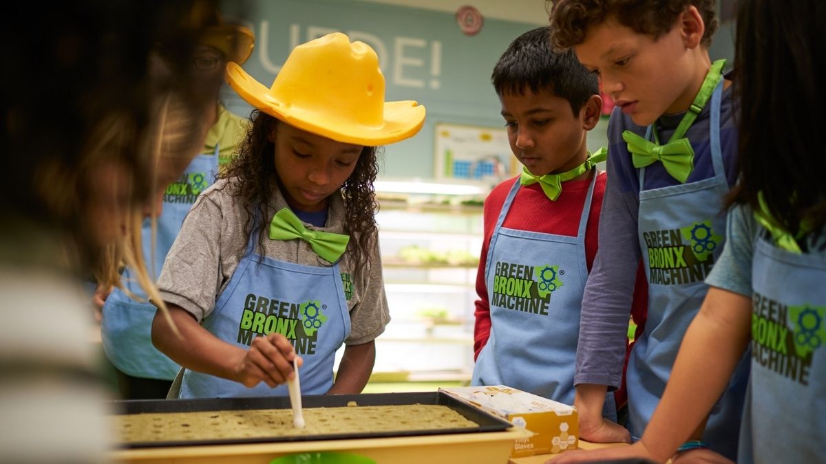 Students in the Bronx combat food deserts with vertical farming
